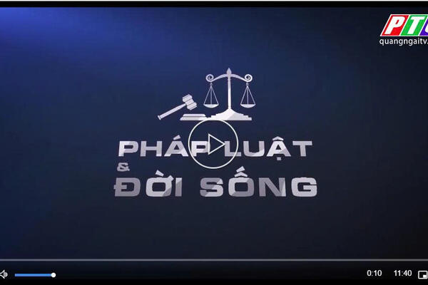 PHÁP LUẬT VÀ ĐỒI SỐNG 2024